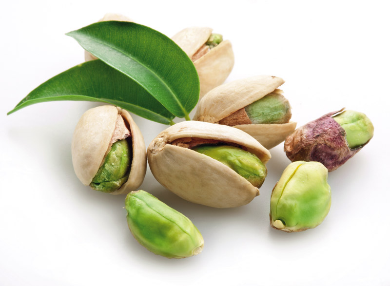 pistacchio